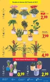 Catálogo Lidl semana 4 Página 41