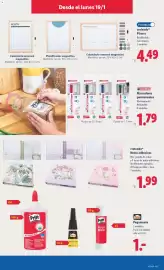 Catálogo Lidl semana 4 Página 17