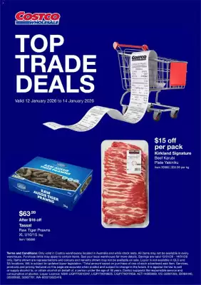 Costco catalogue (valid until 14-01)