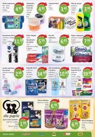 Passa gazetka Strona 11