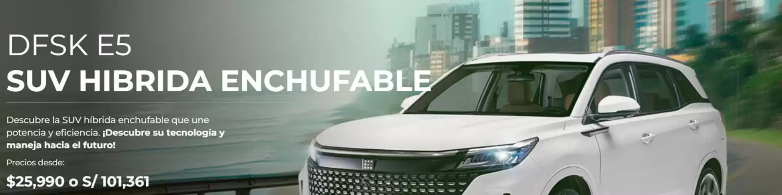 Catálogo DFSK (válido hasta 30-06)