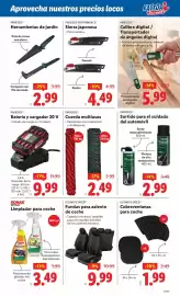 Folleto Ocine semana 3 Página 3