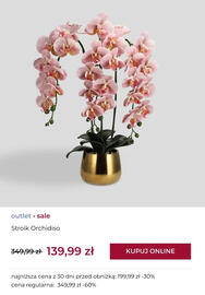 Home&You gazetka tydzień 3 Strona 4