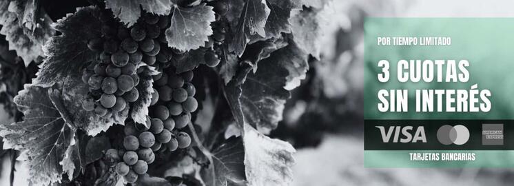 Catálogo Vinoteca Ligier Página 1