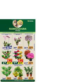 Catálogo Supermercados Avenida Página 6