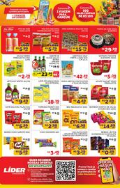 Encarte Lider Atacadista Página 2