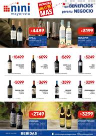 Catálogo Nini Mayorista semana 3 Página 14