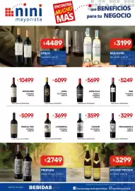 Catálogo Nini Mayorista semana 3 Página 14