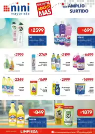 Catálogo Nini Mayorista semana 3 Página 8