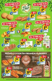 Albert leták Strana 10