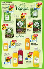 Albert leták Strana 5