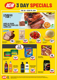IGA catalogue Page 1
