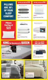 The Brick flyer Page 7