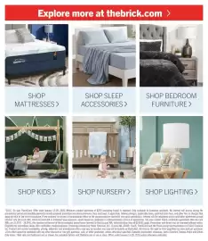 The Brick flyer Page 9