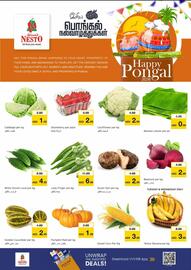 Nesto catalogue Page 2