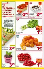 Billa Flugblatt woche 3 Seite 8