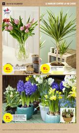 Catalogue Intermarché page 14