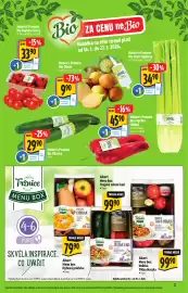 Albert leták Strana 3