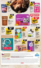 Albert leták týden 3 Strana 38