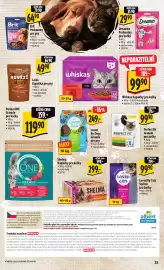 Albert leták týden 3 Strana 38