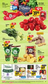 Albert leták | Supermarket Strana 12