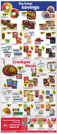 Winn Dixie weekly ad week 3 Page 3
