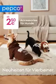 PEPCO Prospekt Seite 1