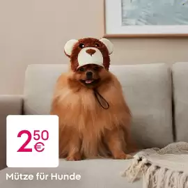 PEPCO Prospekt Seite 2