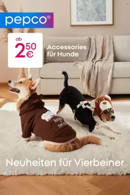 PEPCO Prospekt (gültig bis 20-01)