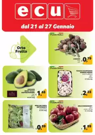 Volantino Ecu Discount Pagina 8