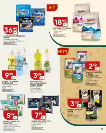 Chata Polska gazetka Strona 19