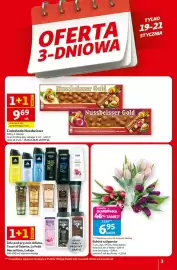 Auchan gazetka tydzień 3 Strona 3