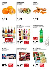 Der Grissemann Flugblatt woche 3 Seite 2