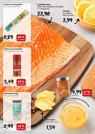 Der Grissemann Flugblatt woche 3 Seite 6