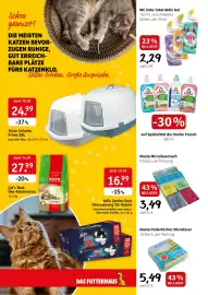 Der Grissemann Flugblatt woche 3 Seite 10