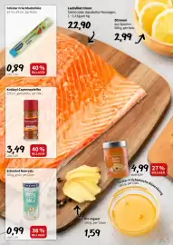 Der Grissemann Flugblatt woche 3 Seite 6