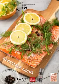 Der Grissemann Flugblatt woche 3 Seite 7