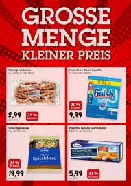 Der Grissemann Flugblatt woche 3 Seite 9