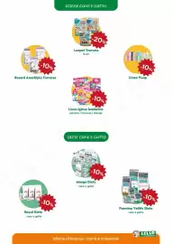 Volantino Lillo e i Vagabondi Pagina 10