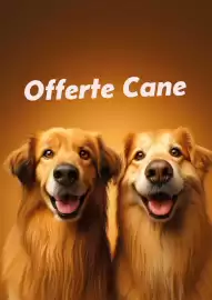 Volantino Lillo e i Vagabondi Pagina 2