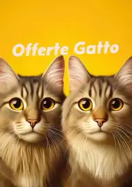 Volantino Lillo e i Vagabondi Pagina 4