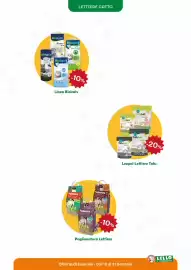 Volantino Lillo e i Vagabondi Pagina 7