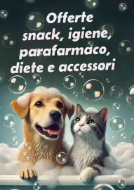 Volantino Lillo e i Vagabondi Pagina 8