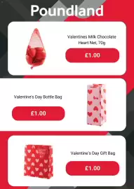 Poundland leaflet Page 3