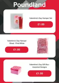 Poundland leaflet Page 4