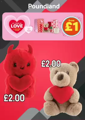 Poundland leaflet (valid until 14-02)