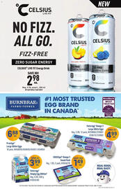 Giant Tiger flyer week 3 Page 12