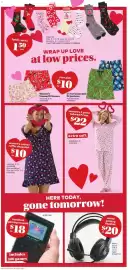 Giant Tiger flyer week 3 Page 5