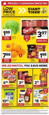 Giant Tiger flyer (valid until 20-01)