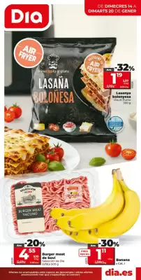 Catálogo Maxi Dia (válido hasta el 20-01)